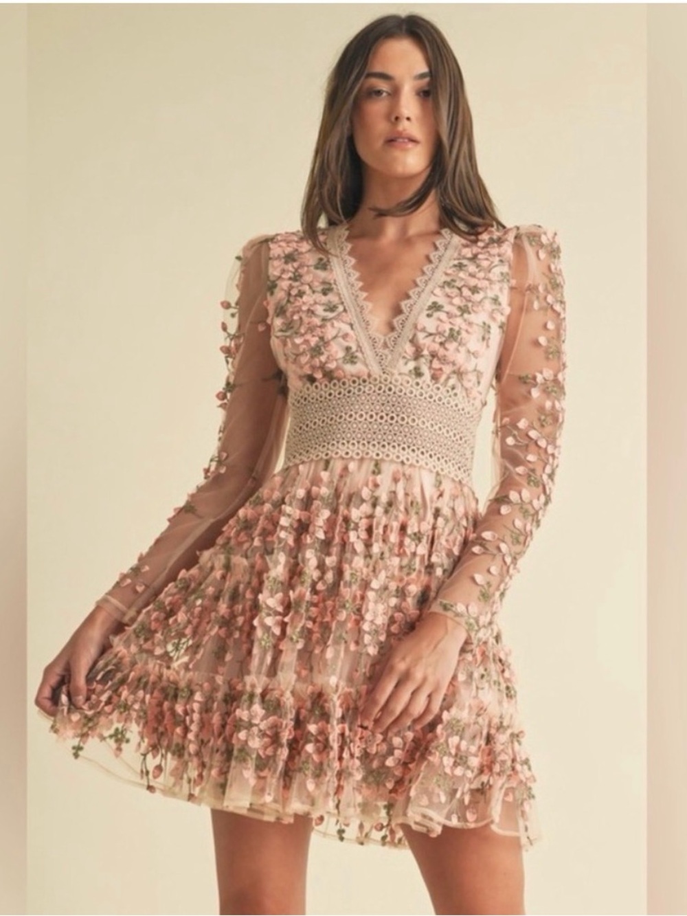 EB LUXE Amelia 3D Florals Mesh Lace Mini Dress